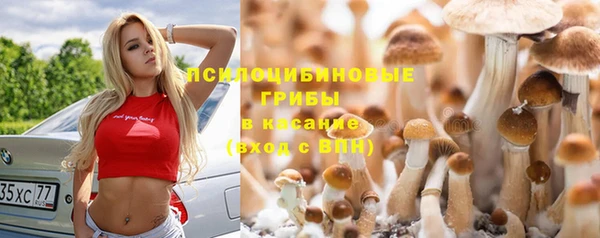 jwh Абаза