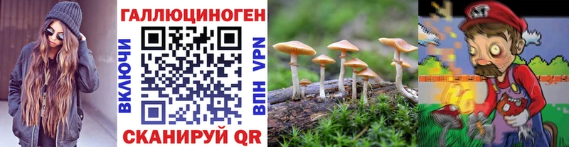 Псилоцибиновые грибы Psilocybine cubensis  Брюховецкая 